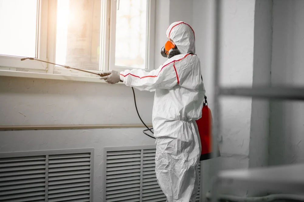 Professional mold remediation services in Cameron, MT